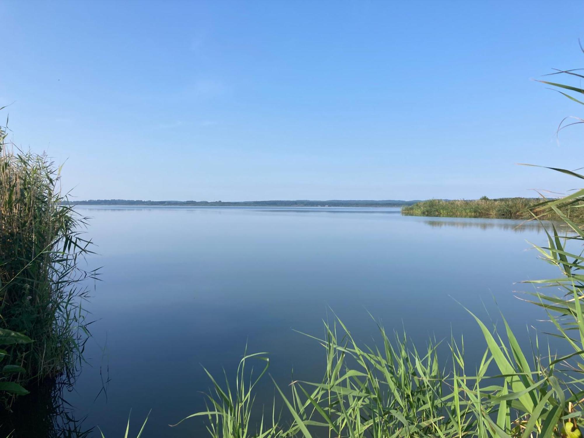 Nowe Apartamenty Ostoja - Nad Baltykiem - Cisza I Piekno Natury Zastan Exteriör bild