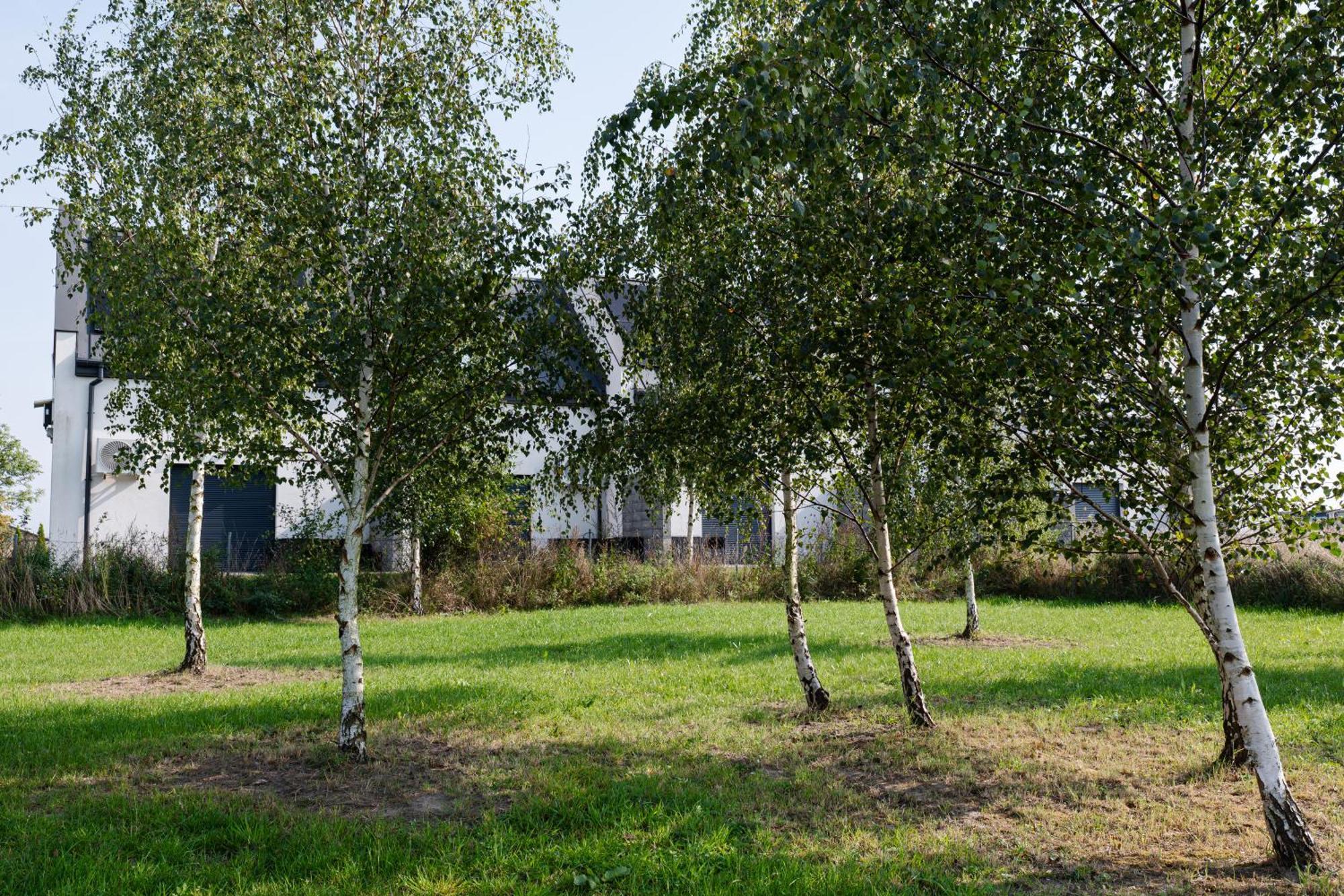 Nowe Apartamenty Ostoja - Nad Baltykiem - Cisza I Piekno Natury Zastan Exteriör bild